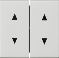Gira Systeem 55 Besturingselement/Centrale plaat Schakelmateriaal - 115003