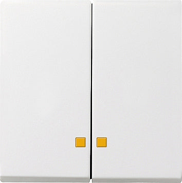 Gira Systeem 55 Besturingselement/Centrale plaat Schakelmateriaal - 063103
