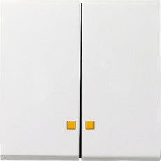 Gira Systeem 55 Besturingselement/Centrale plaat Schakelmateriaal - 063103