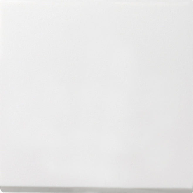 Gira F100 Installatieschakelaar - 0126112