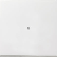 Gira F100 Bedieningselement/Centrale Plaat Schakelmateriaal - 0290112