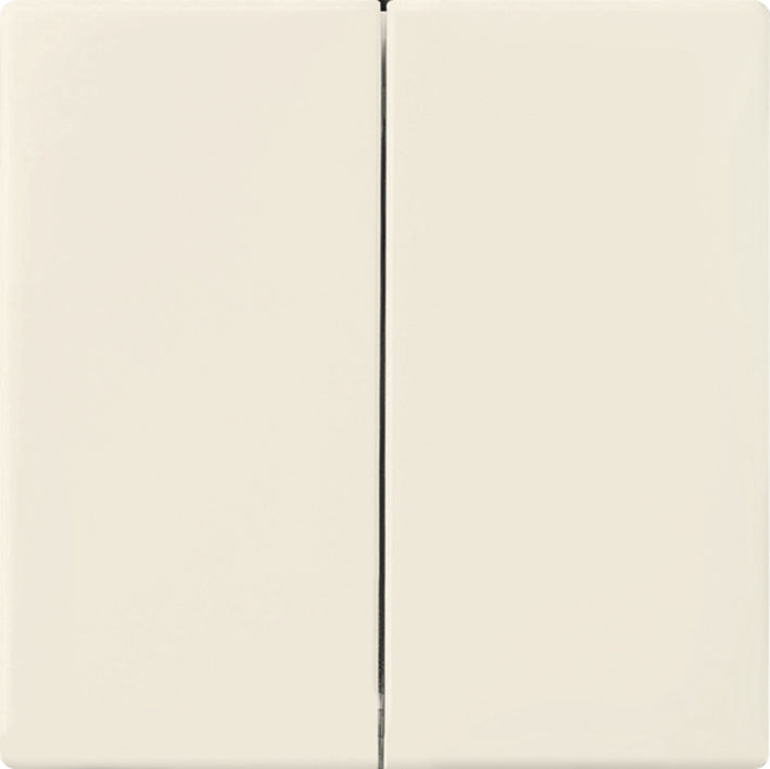 ABB Busch-Jaeger Schakelelement/Centrale Plaat - 2CKA006730A0134
