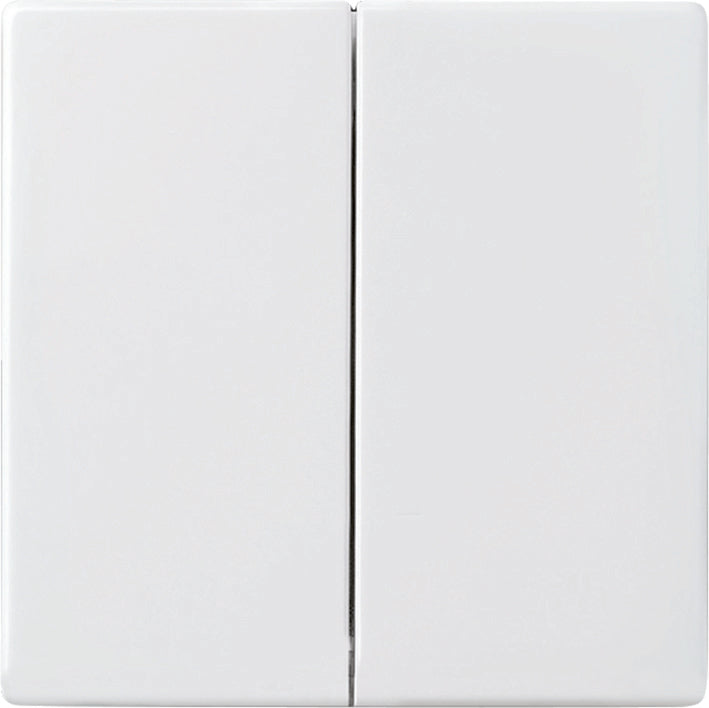 ABB Busch-Jaeger Schakelelement/Centrale Plaat - 2CKA006730A0136