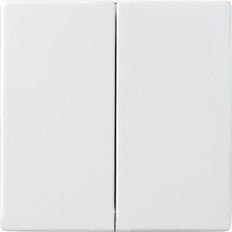 ABB Busch-Jaeger Schakelelement/Centrale Plaat - 2CKA006730A0136