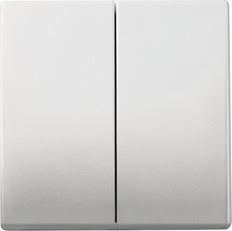 ABB Busch-Jaeger Schakelelement/Centrale Plaat - 2CKA006730A0139