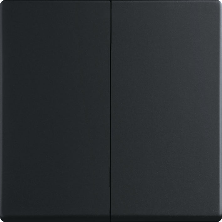 ABB Busch-Jaeger Schakelelement/Centrale Plaat - 2CKA006730A0141