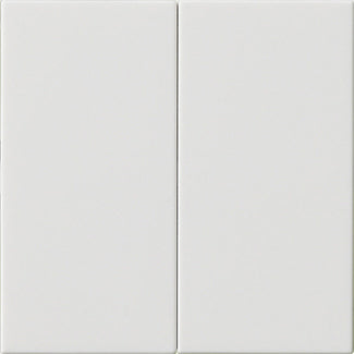 Gira Systeem 55 Dubbele Wip Schakelaar Leeg Puur Wit - 537003