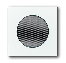ABB Busch-Jaeger Future/Solo Bedieningselement/Centrale Plaat Schakelmateriaal - 2CKA008200A0081
