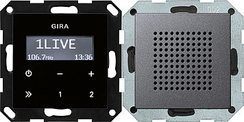 Gira Systeem 55 Draadloos Schakelmateriaal - 228028