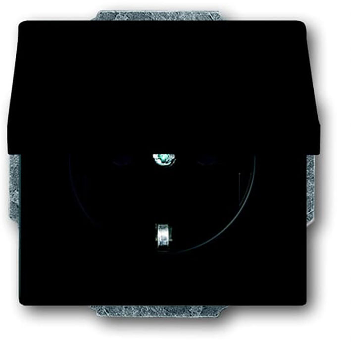 ABB Busch-Jaeger Future Wandcontactdoos (WCD-Schakelmateriaal) - 2CKA002018A1495
