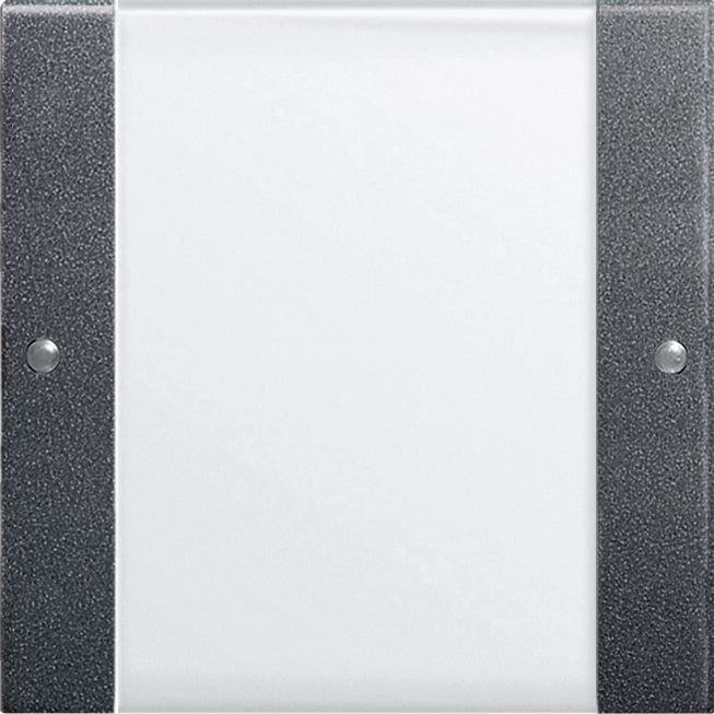 Gira Systeem 55 Besturingselement/Centrale plaat Schakelmateriaal - 213128