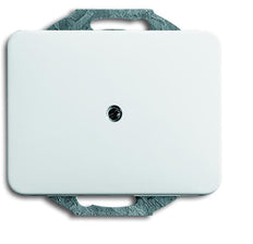 ABB Busch-Jaeger Alpha Schakelelement/Centrale Plaat - 2CKA001753A7412