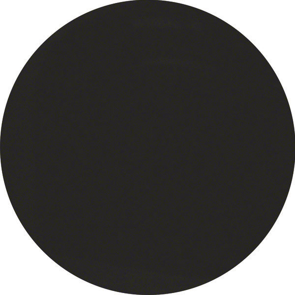 Hager Berker R.1/R.3 Schakelelement/Centrale Plaat - 11372045