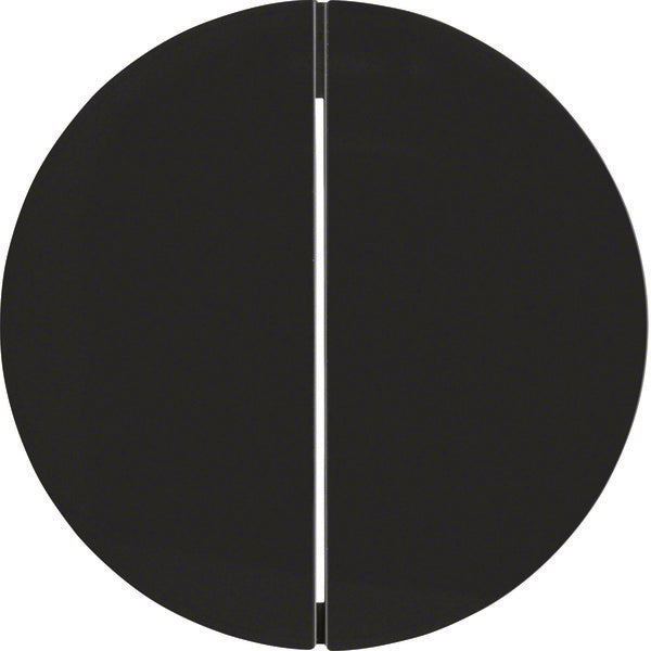 Hager Berker R.1/R.3 Schakelelement/Centrale Plaat - 16232045