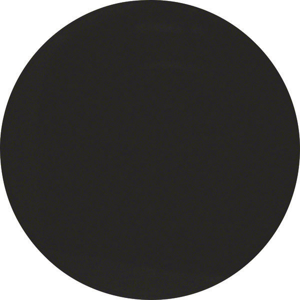 Hager Berker R.1/R.3 Schakelelement/Centrale Plaat - 16202045