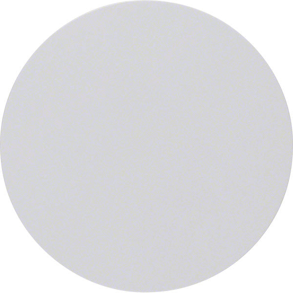 Hager Berker R.1/R.3 Schakelelement/Centrale Plaat - 16202089