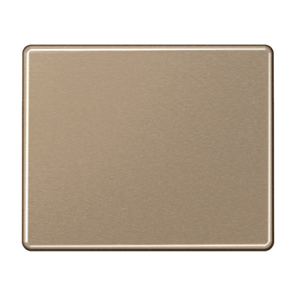 Jung SL500 Bedieningselement/Centrale Plaat Schakelmateriaal - SL590GB