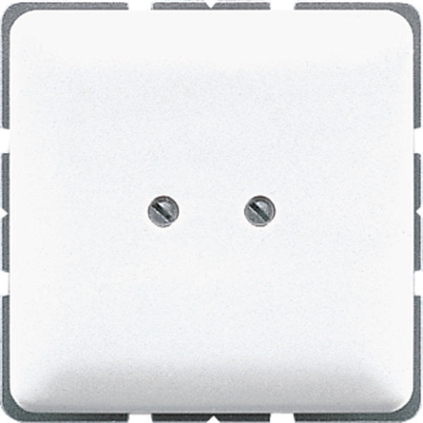 Jung CD500 Schakelelement/Centrale Plaat - CD561BWW