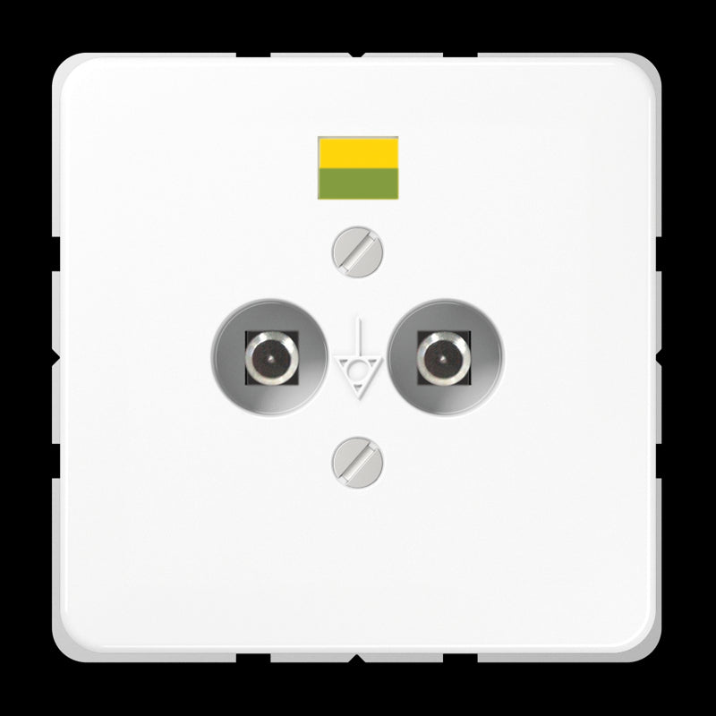 Jung CD500 Potentiaalvereffeningsstopcontact - CD565-2NWW