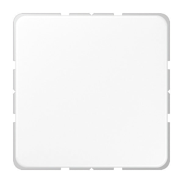 Jung CD500 Schakelelement/Centrale Plaat - CD594-OWW