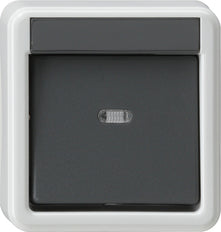 Gira Splashproof Surface-Mounted Installation Switch - 010635