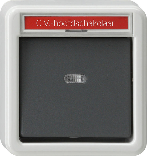 Gira Spatwaterdichte Opbouwschakelaar - 011635