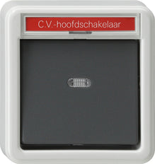Gira Spatwaterdichte Opbouwschakelaar - 011635