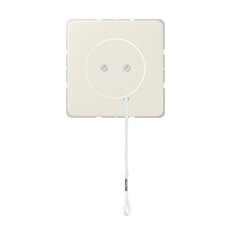 Jung CD500 Installation Switch - Z506NUZV