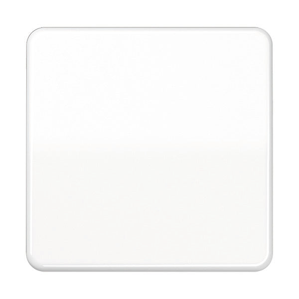 Jung CD500 Schakelelement/Centrale Plaat - CD590BFWW