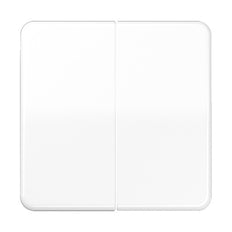 Jung CD500 Schakelelement/Centrale Plaat - CD595BFWW