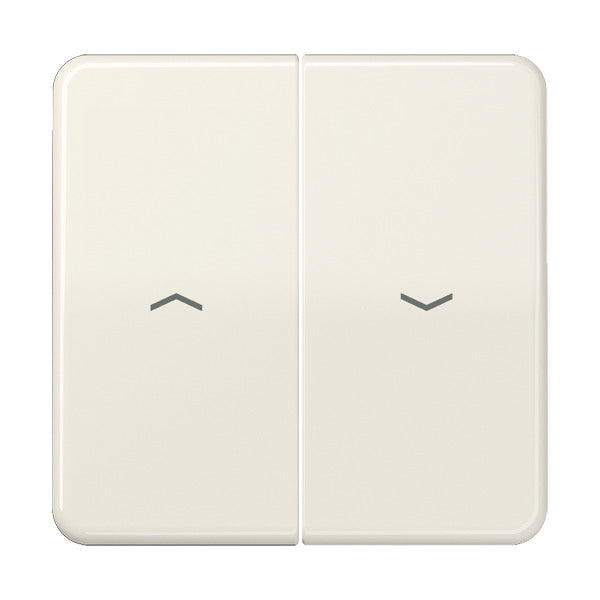 Jung CD500 Schakelelement/Centrale Plaat - CD595P