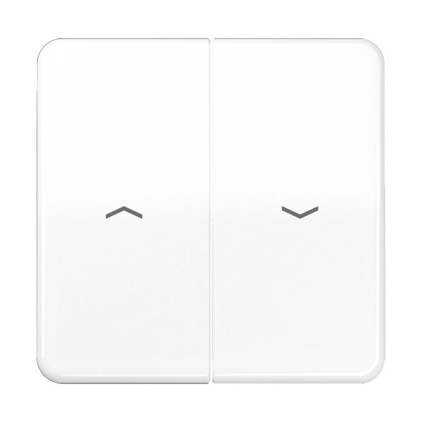 Jung CD500 Schakelelement/Centrale Plaat - CD595PBFWW
