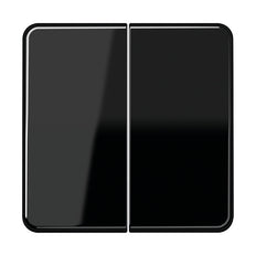 Jung CD500 Schakelelement/Centrale Plaat - CD595SW