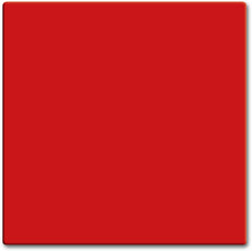 ABB Busch-Jaeger Schakelelement/Centrale Plaat - 2CKA001731A4012