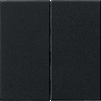 Gira Systeem 55 Besturingselement/Centrale plaat Schakelmateriaal - 0266005
