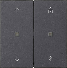 Gira Systeem 3000 Intelligent Bedieningselement - 536728
