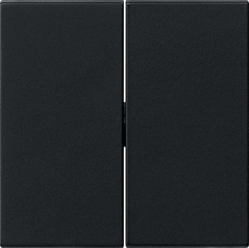Gira Systeem 55 Besturingselement/Centrale plaat Schakelmateriaal - 0295005
