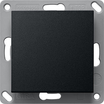 Gira Systeem 55 Handzender/muurzender Bussysteem - 2421005