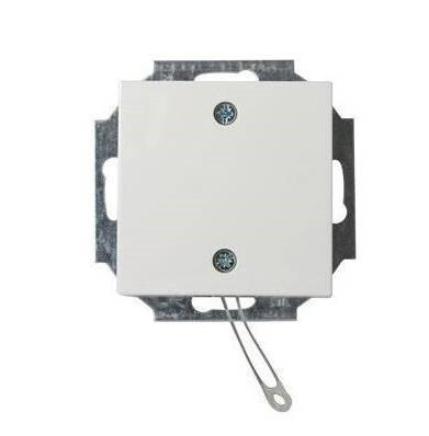 ABB Busch-Jaeger Installatie Schakelaar - 2CKA009999A2610