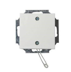ABB Busch-Jaeger Installatie Schakelaar - 2CKA009999A2610