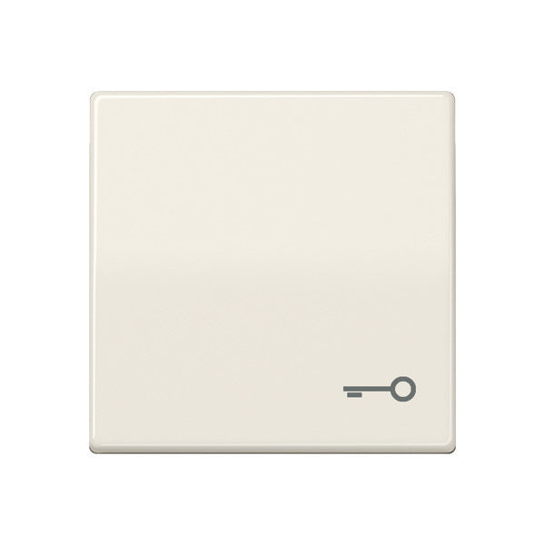 Jung AS500 Schakelelement/Centrale Plaat - AS591T