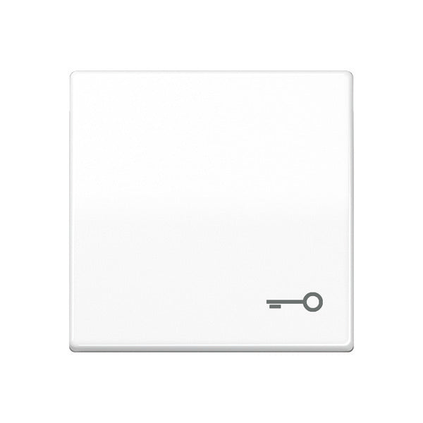 Jung AS500 Schakelelement/Centrale Plaat - AS591TWW