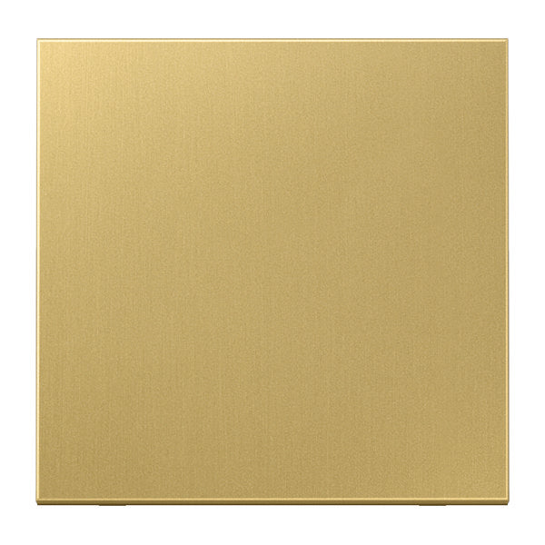Jung LS RANGE Bedieningselement/Centrale Plaat ME2990C