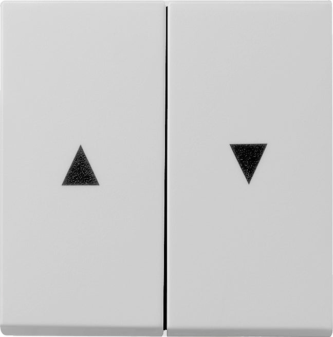 Gira Systeem 55 Besturingselement/Centrale plaat Schakelmateriaal - 0294015