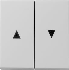 Gira Systeem 55 Besturingselement/Centrale plaat Schakelmateriaal - 0294015