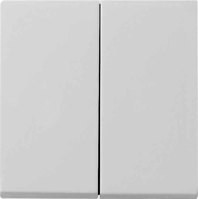 Gira Systeem 55 Besturingselement/Centrale plaat Schakelmateriaal - 0295015