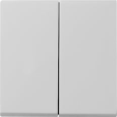 Gira Systeem 55 Besturingselement/Centrale plaat Schakelmateriaal - 0295015