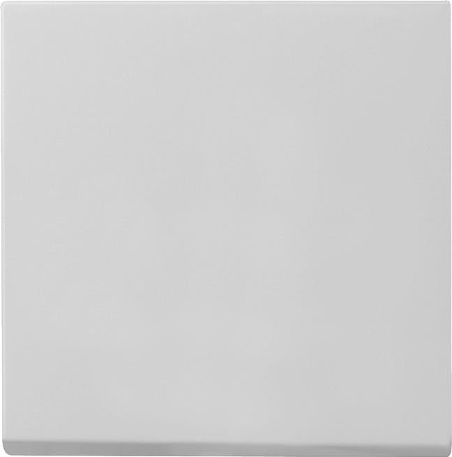 Gira Systeem 55 Besturingselement/Centrale plaat Schakelmateriaal - 0296015
