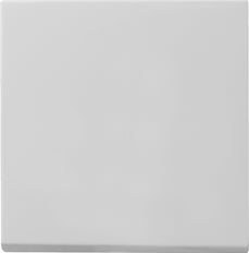 Gira Systeem 55 Besturingselement/Centrale plaat Schakelmateriaal - 0296015