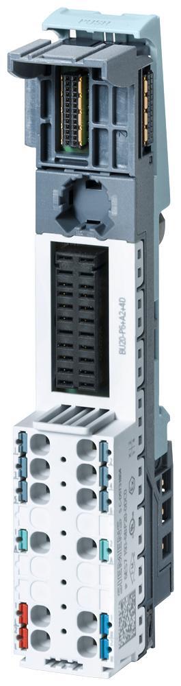 Siemens SIMATIC Veldbus Dec PS-serie Montageframe - 6ES71936BP200DC0